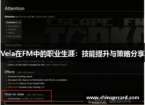 Vela在FM中的职业生涯：技能提升与策略分享