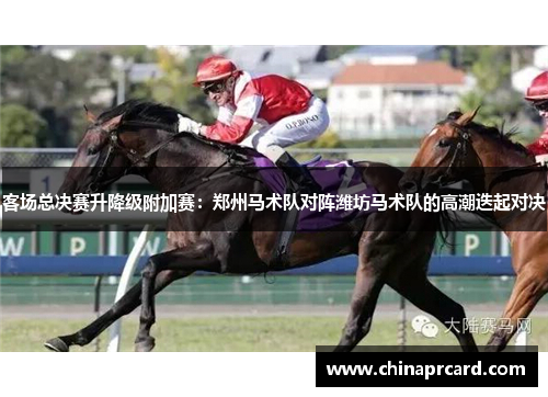 客场总决赛升降级附加赛：郑州马术队对阵潍坊马术队的高潮迭起对决
